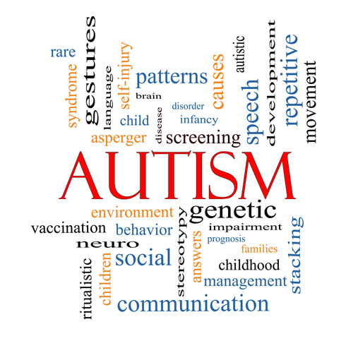 autism essay